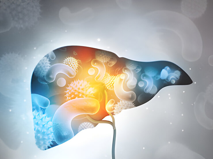 liver transplant hospitals in california